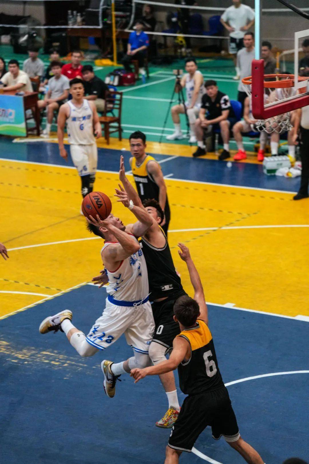 篮球论坛:职业篮球联赛提升质量,全球篮球产业迈上新台阶的简单介绍 篮球论坛:职业篮球联赛提升质量,全球篮球产业迈上新台阶的简单介绍