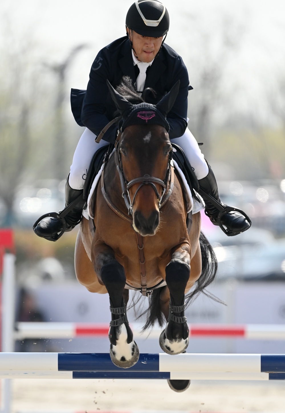 马术比赛选手与坐骑默契合作获胜 马术比赛选手与坐骑默契合作获胜